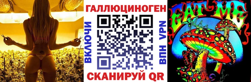 купить   Ветлуга  Галлюциногенные грибы Magic Shrooms 